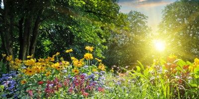 spring bucket list