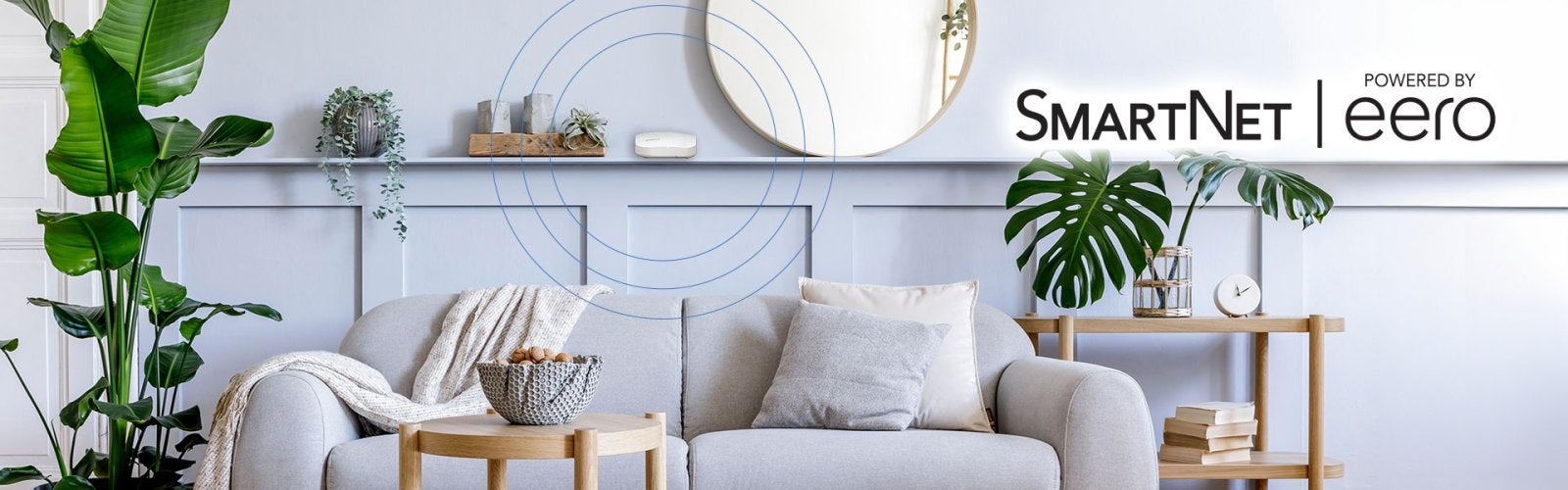 SmartNet, wireless internet
